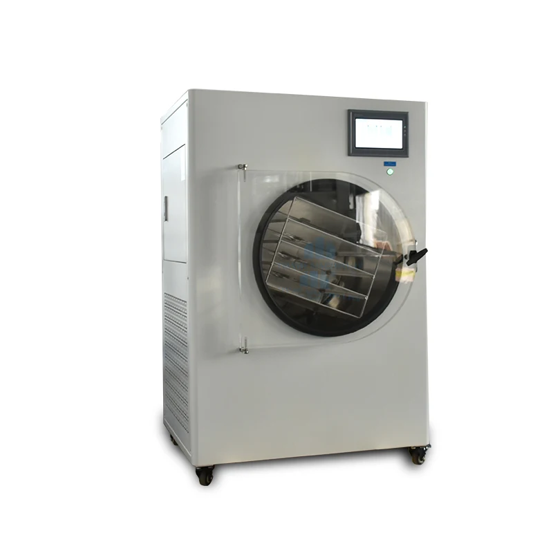 Mini Small Freeze Drying Machine Large Food Vegetable Fruit Home Homemade Household Laboratory Freeze Dryer Unit