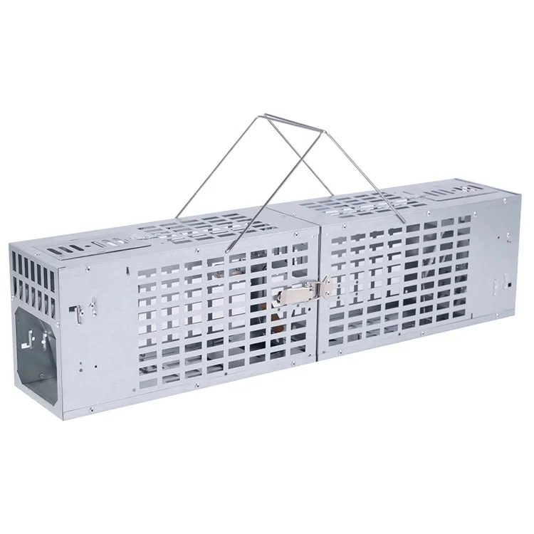 Wholesale price killer rat trap cage for small animal live hunting