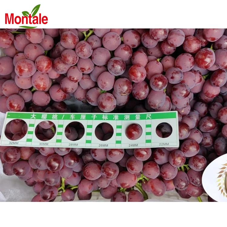Chinese fresh red purple global grapes from Xinjiang