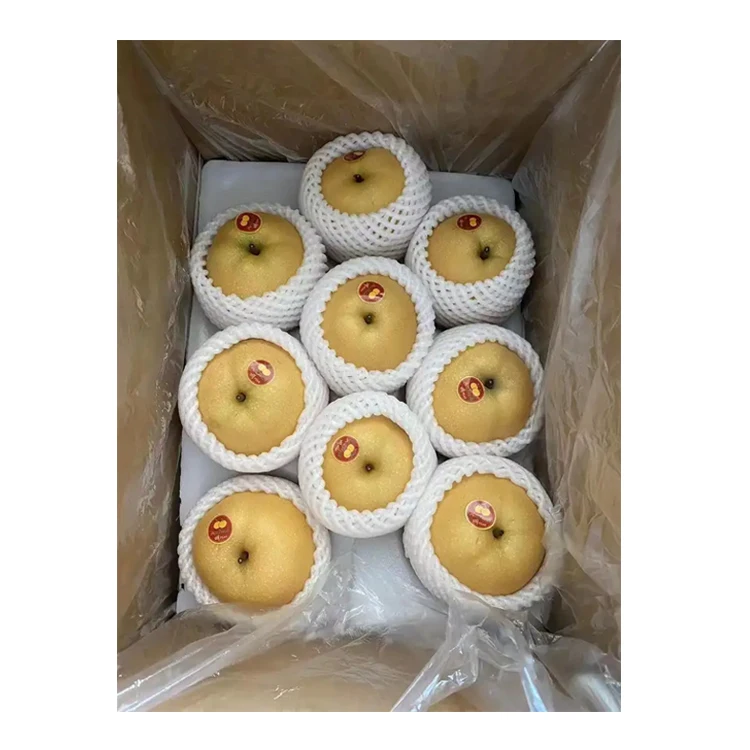 Farm Direct Sales Fresh Fruit Fengshui Pear Golden Yuahuang Pears
