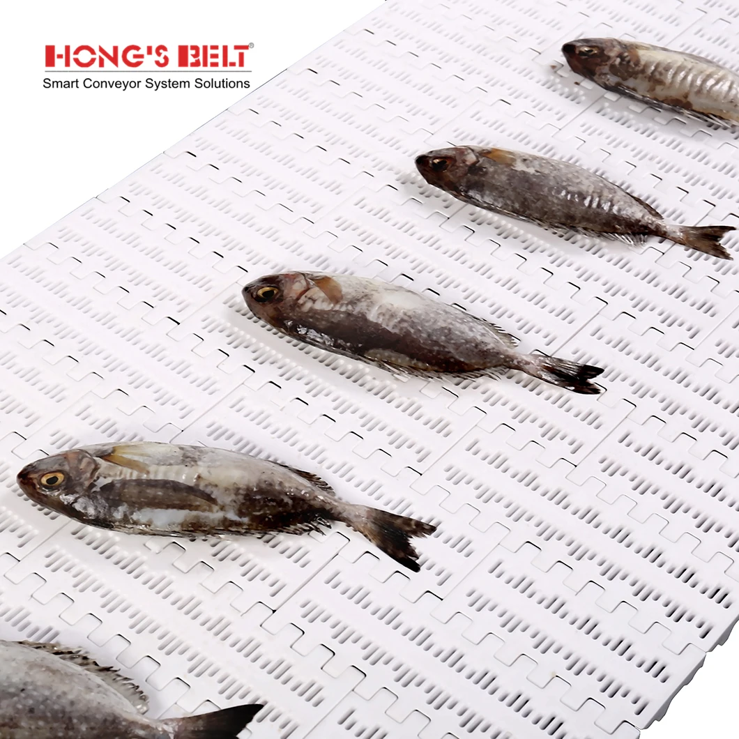 Hongsbelt HS-100B-HD Curved Modular Conveyor Chain Belt Modular Belt For Food Grade