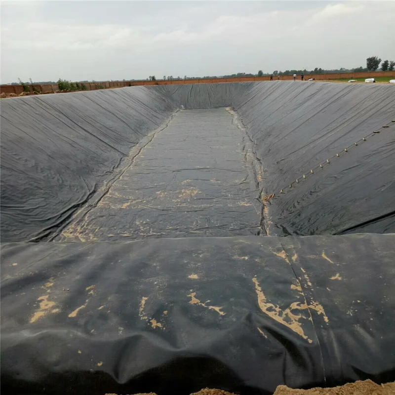 High Quality HDPE Geomembrane Outdoor Fish Farms Swimming Pools Landfills Industrial PE/EVA/LDPE Material-World-Wide Popular