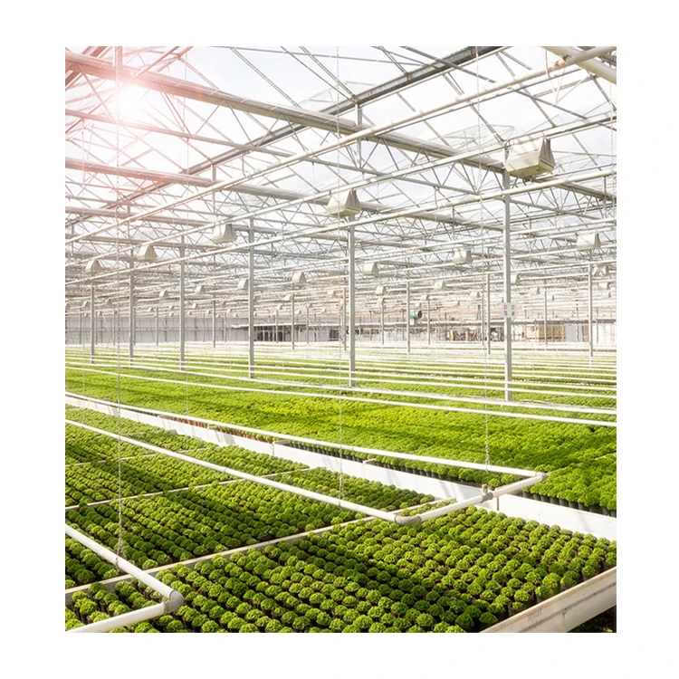 
Widely Used Superior Quality Plastic Film For Agricultural Greenhouse Construction Agricultural 