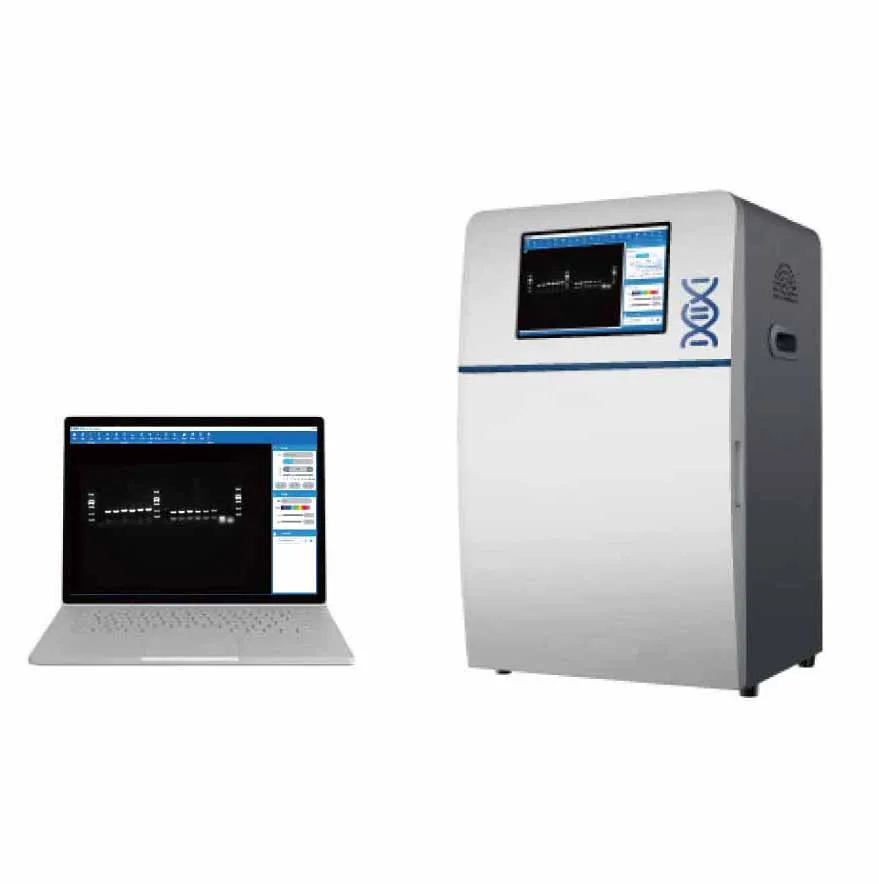 
DNA and RNA portable Chemiluminescence gel imaging touch Gel Documentation and Analysis System 