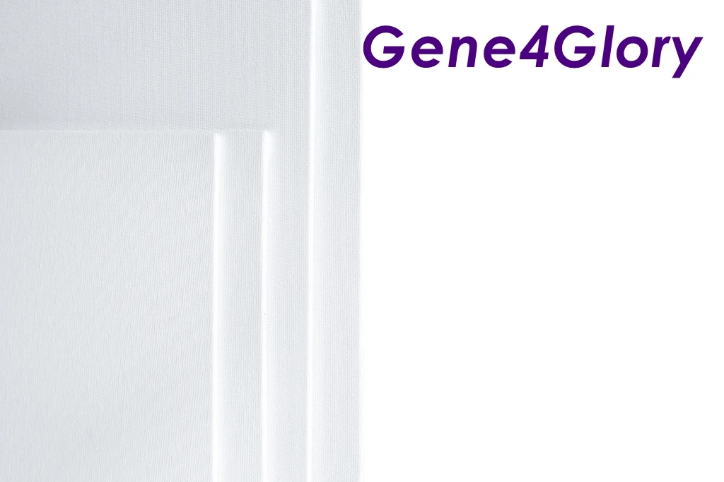 
Custom pre printed stretched wood canvas & painting set 