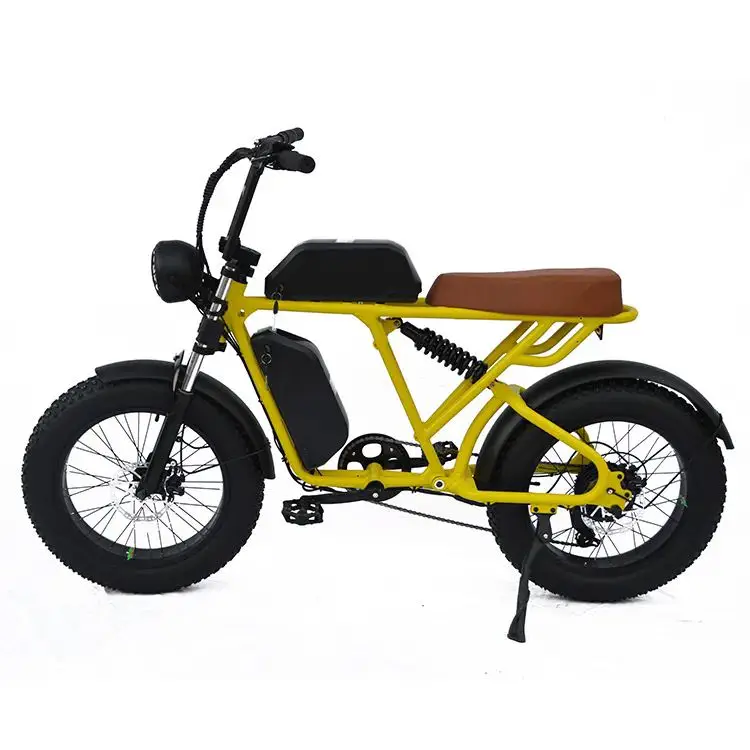 chenlu electric bicycle 20 Inch 1000w Electric Bike adult Long Range Bike 47km/h Hydraulic Brake Style 30ah e-bik