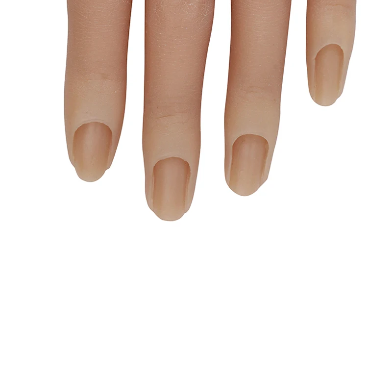 3d Model Nails Can Move And Display Hand Nail Molds Flexibly