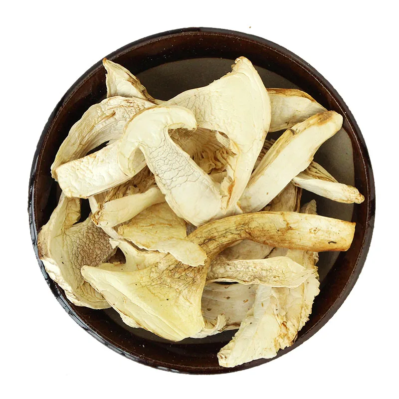 Export Wild Pine Mushroom wholesale Wild matsutake freeze dried