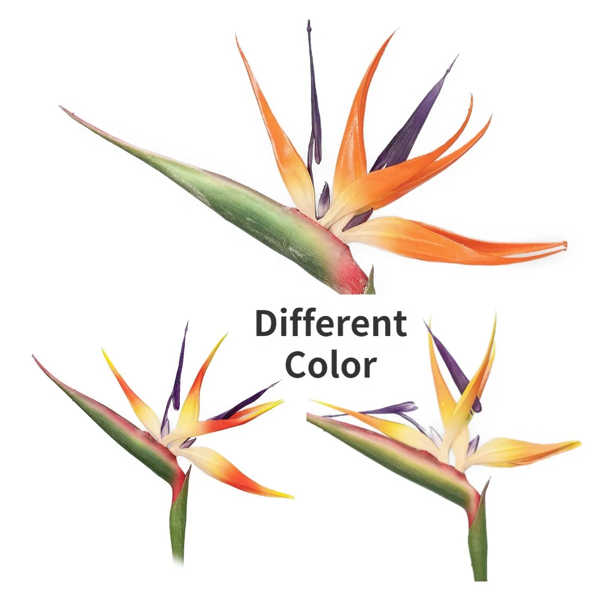  Искусственный цветок птица рая для украшения дома оптовая продажа с фабрики