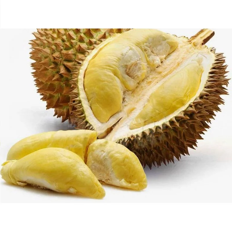 
Nutritive Fresh and Quality Durian From Srilanka For Wholesale 