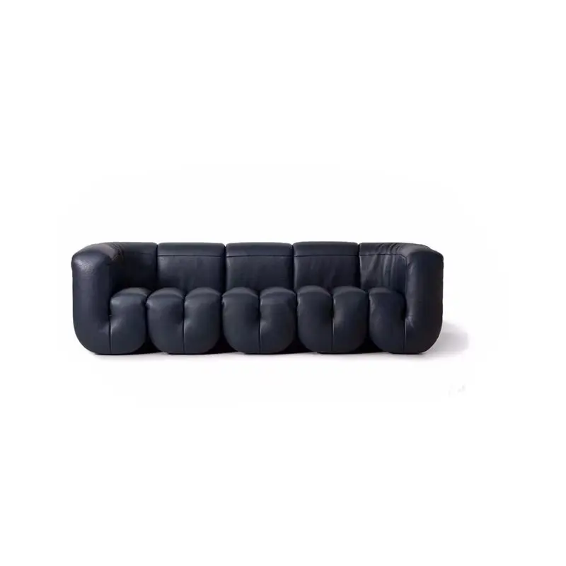 ATUNUS Modern Black Leather the DS 707 Sofa Philippe Malouin sofa living room furniture couches floor relax leisure sofa