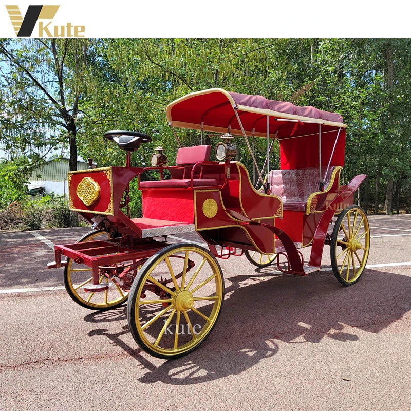 Special Transportation For Sightseeing Tourism Horse Carriage