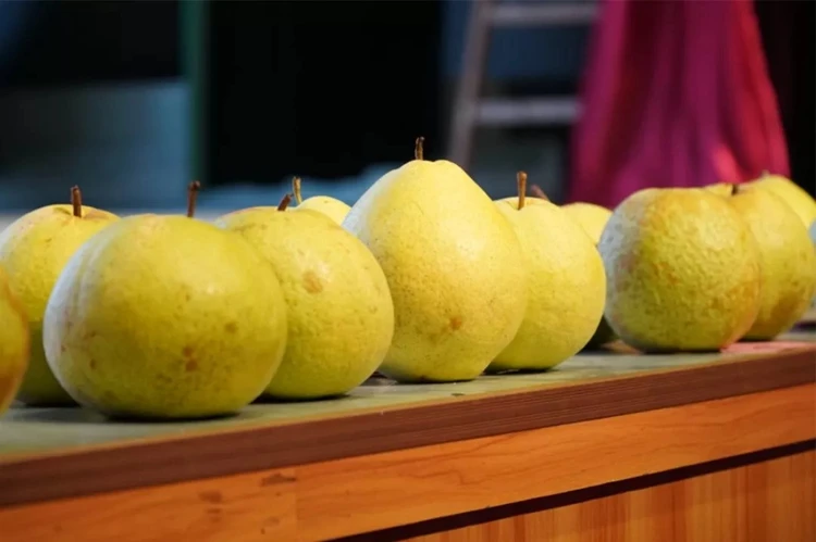 Factory Direct Wholesale Fresh High Quality Low Price Pear From China