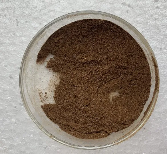 High Quality Cassia Twig Extract Powder Organic Cassia Tora Seeds Extract