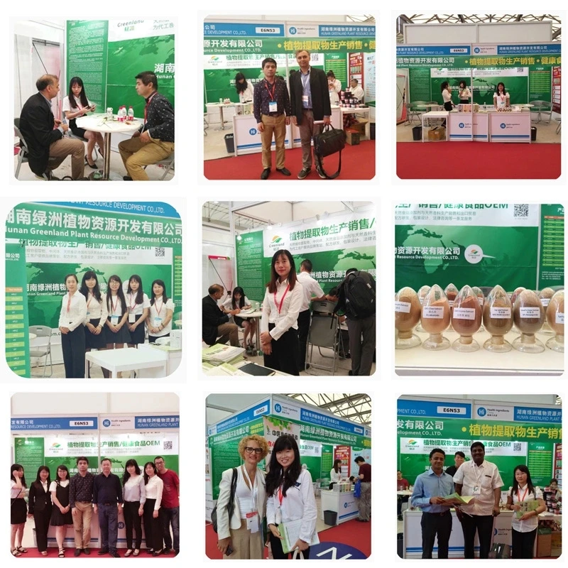 Best Price Rosmarinic Del Lemon Balm Tea Melissa Officinalis Essential Oil 1 liter