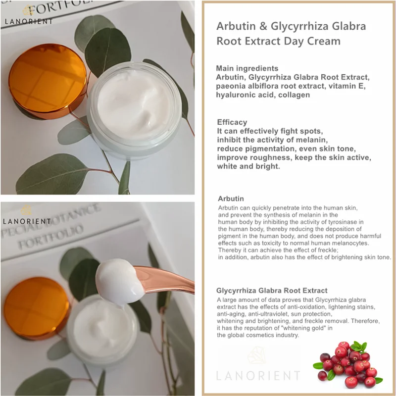 OEM best Arbutin Retinol anti aging bleaching lightening creams without hydroquinone  night cream and day cream set