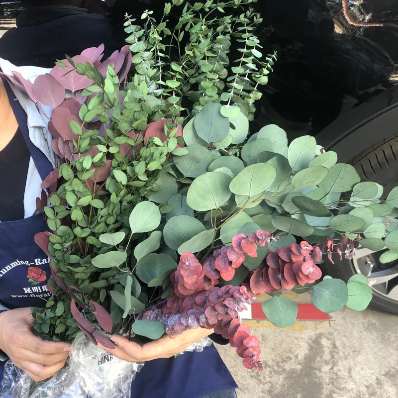 Gift Preserved Flower Box Valentine Wholesale Luxury Everlasting Stabilized Preserved Rose preserved Eucalyptus