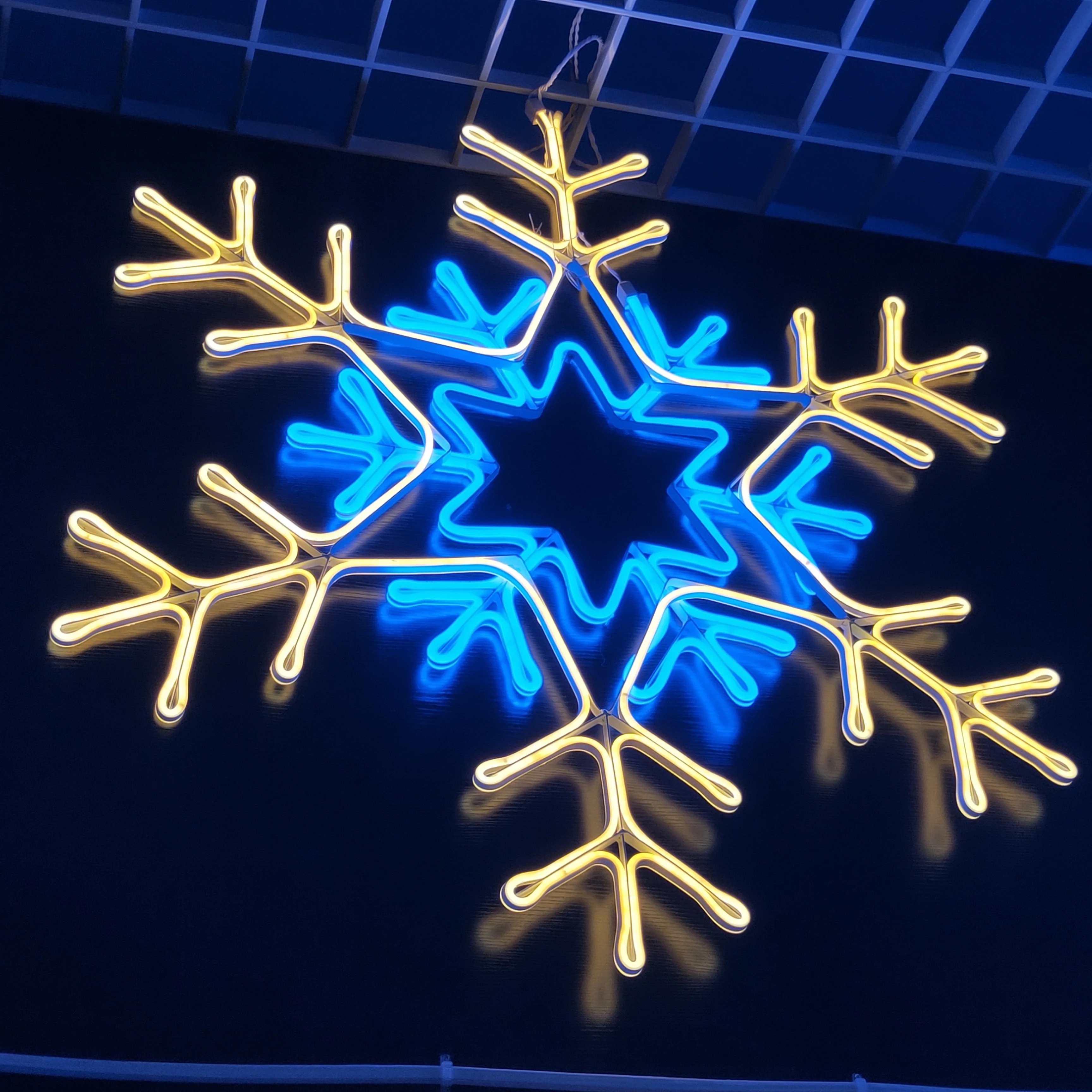 China factory custom made Neon Signs Luminous Neon Signs Led sculpture motif Light