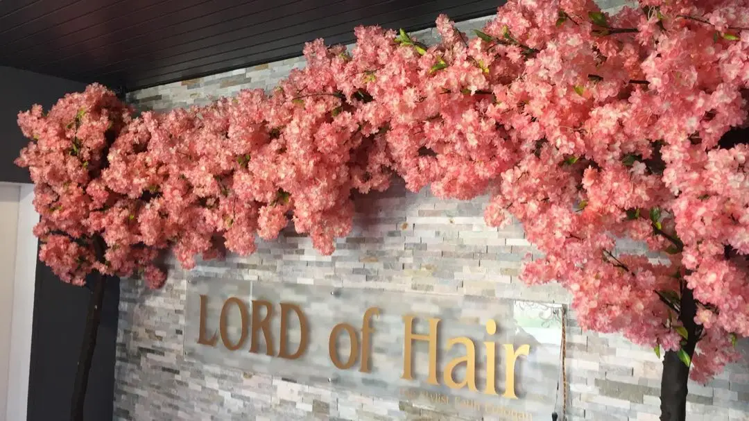 Cheap Artificial Light Pink Plants Flower Branches Backdrop Decoration Red Silk Cherry Blossom Tree