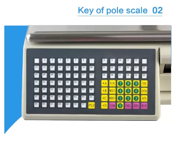 Competitive Price weighing scale 15kg 30kg digital weighing scale with printer