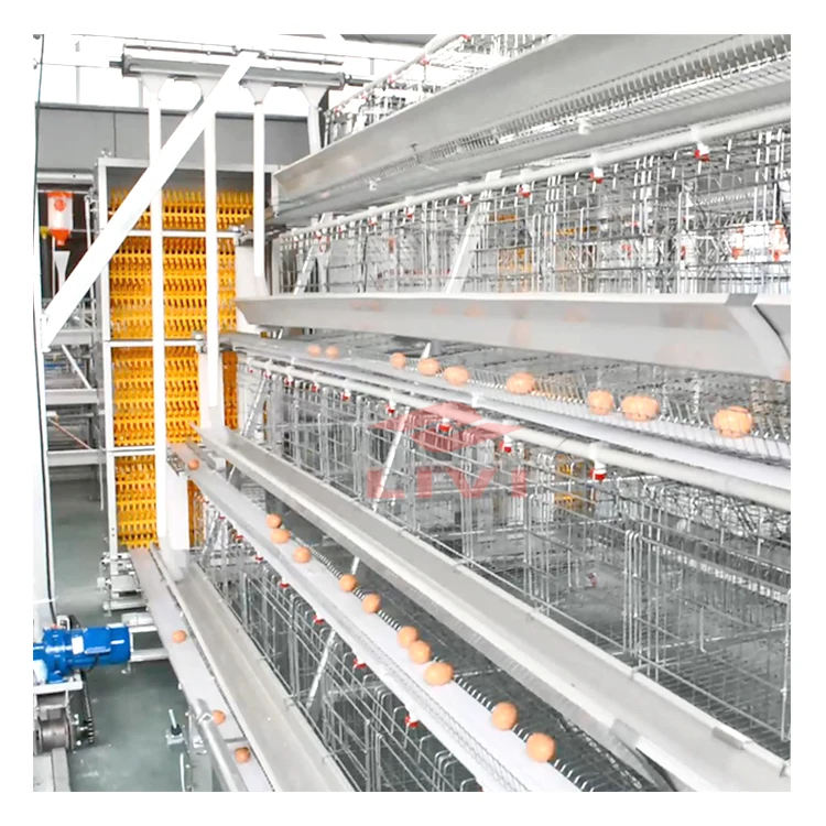 
LIVI layer poultry farm chicken cages automatic for layers chickens 20000 birds  (60555813105)