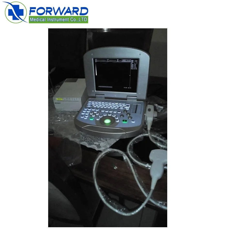 Medical Echography Portable Ultrasound Machine 3D 4D