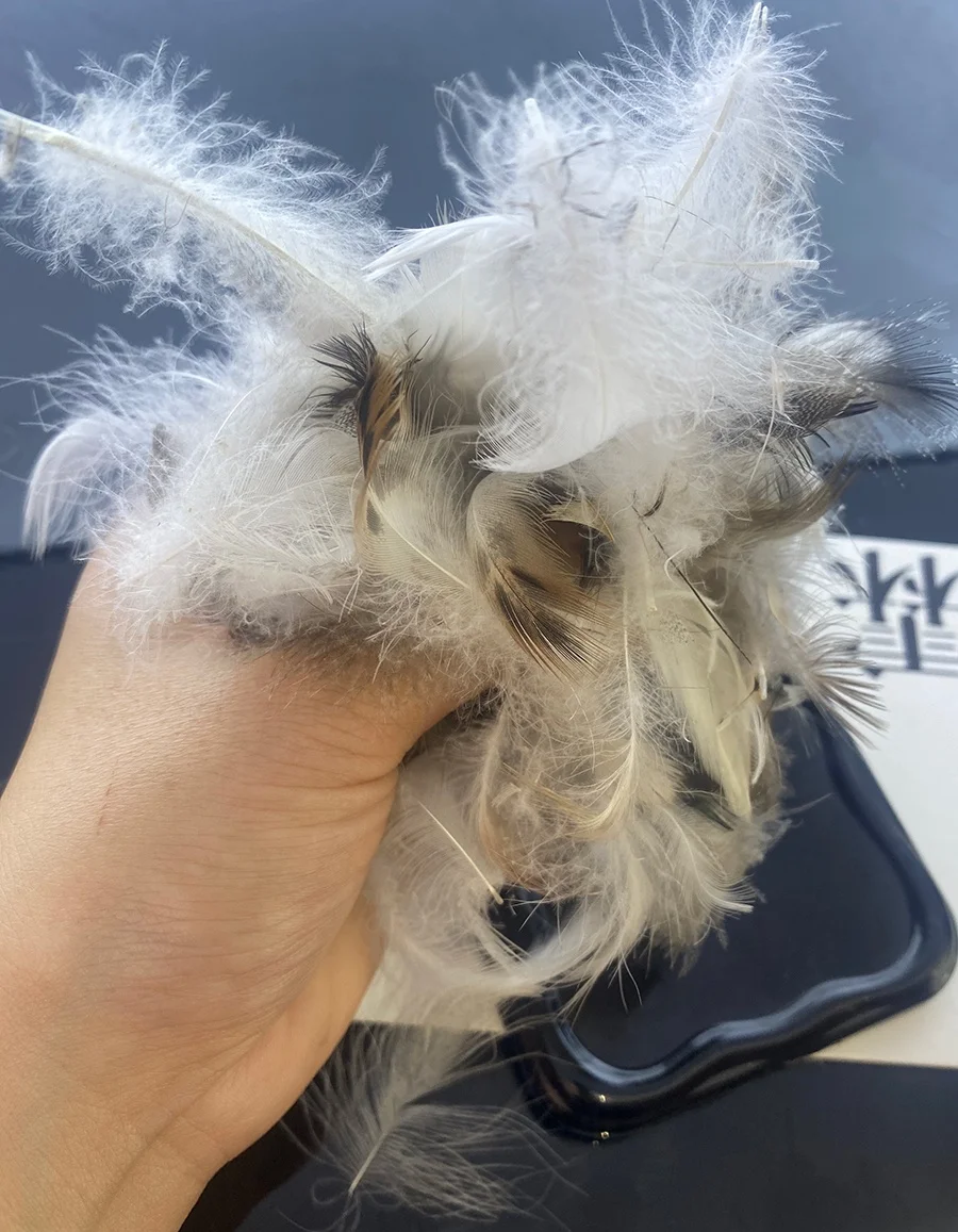 2024 Top Quality Clean Household Textile Fillers Machine Washed Grey Duck Feathers for Sale