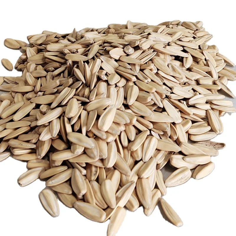 Sunflower Seeds For Sale Wholesale Price Roasted White Sunflower Seeds