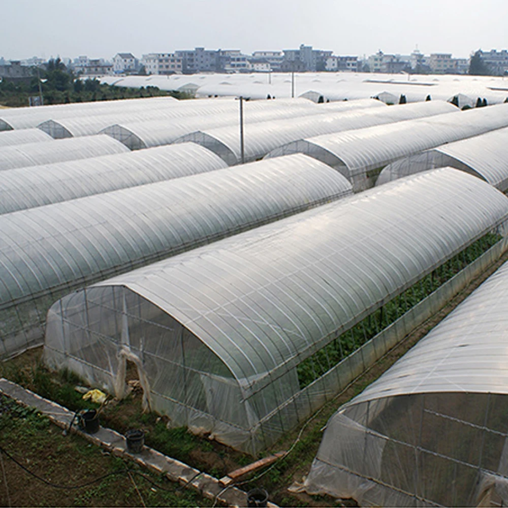 Factory direct sales high quality transparent greenhouse plastic film