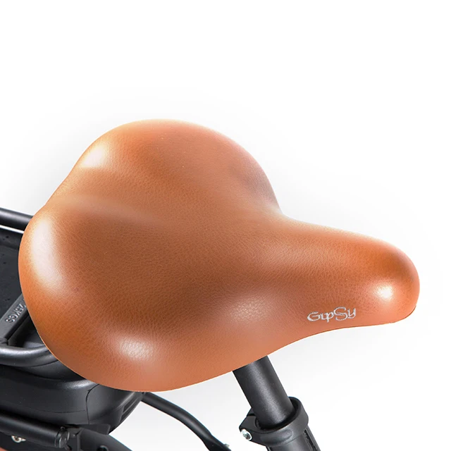 BODO 3 колесный Электрический грузовой велосипед/трехколесный Электрический грузовой велосипед 250 Вт бесщеточный двигатель Bafang