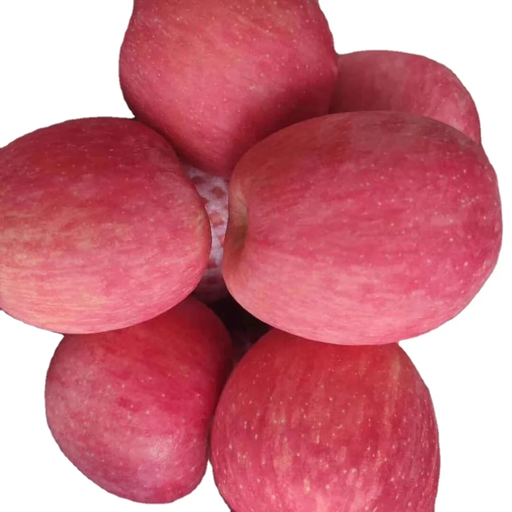 
fuji apple exporter in china apple fuji fruit fresh fuji apple 