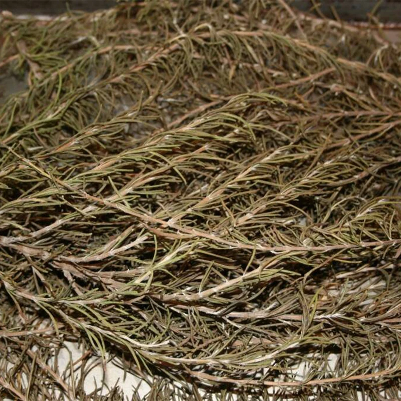Wholesale High Quality Natural Rosemary Stick AD Dried Thyme Raw Guangxi Natural Products Dried Botanical Herbs Green Dried Form