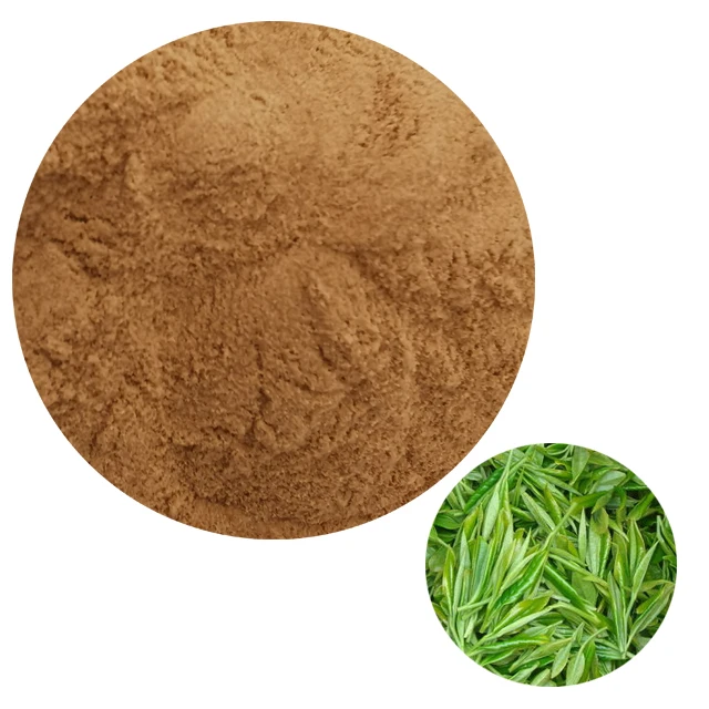 
Factory Directly Sell Top quality Kombucha Tea Extract Powder 