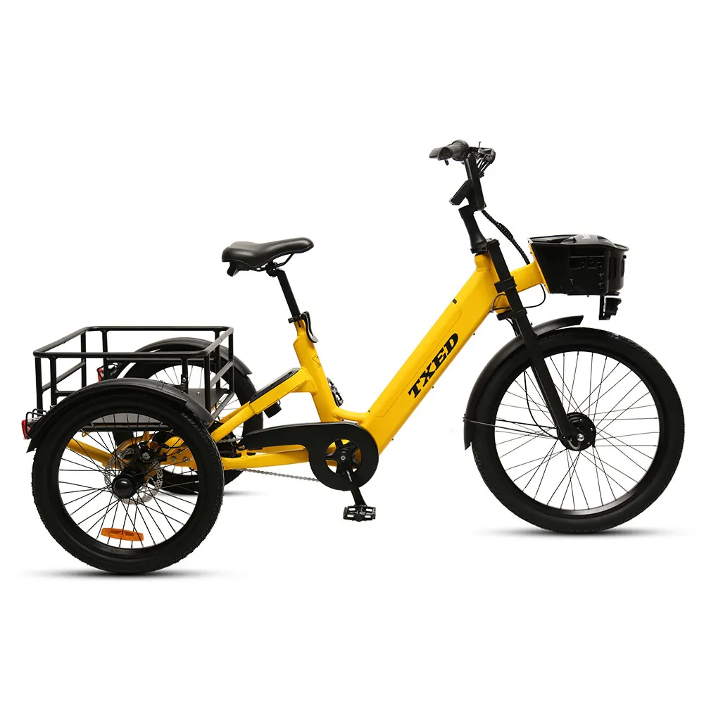 TXED 36V 250W Electric sharing cargo bike Single Speed Electric shared tricycle for adult