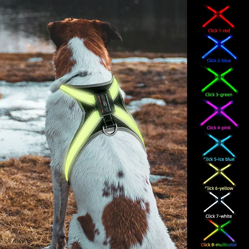 8 Colors Rechargeable LED Pet Collar Keep Your Dog Safe And Visible At Night With Flashing Lights Suitable For Medium Large Dog