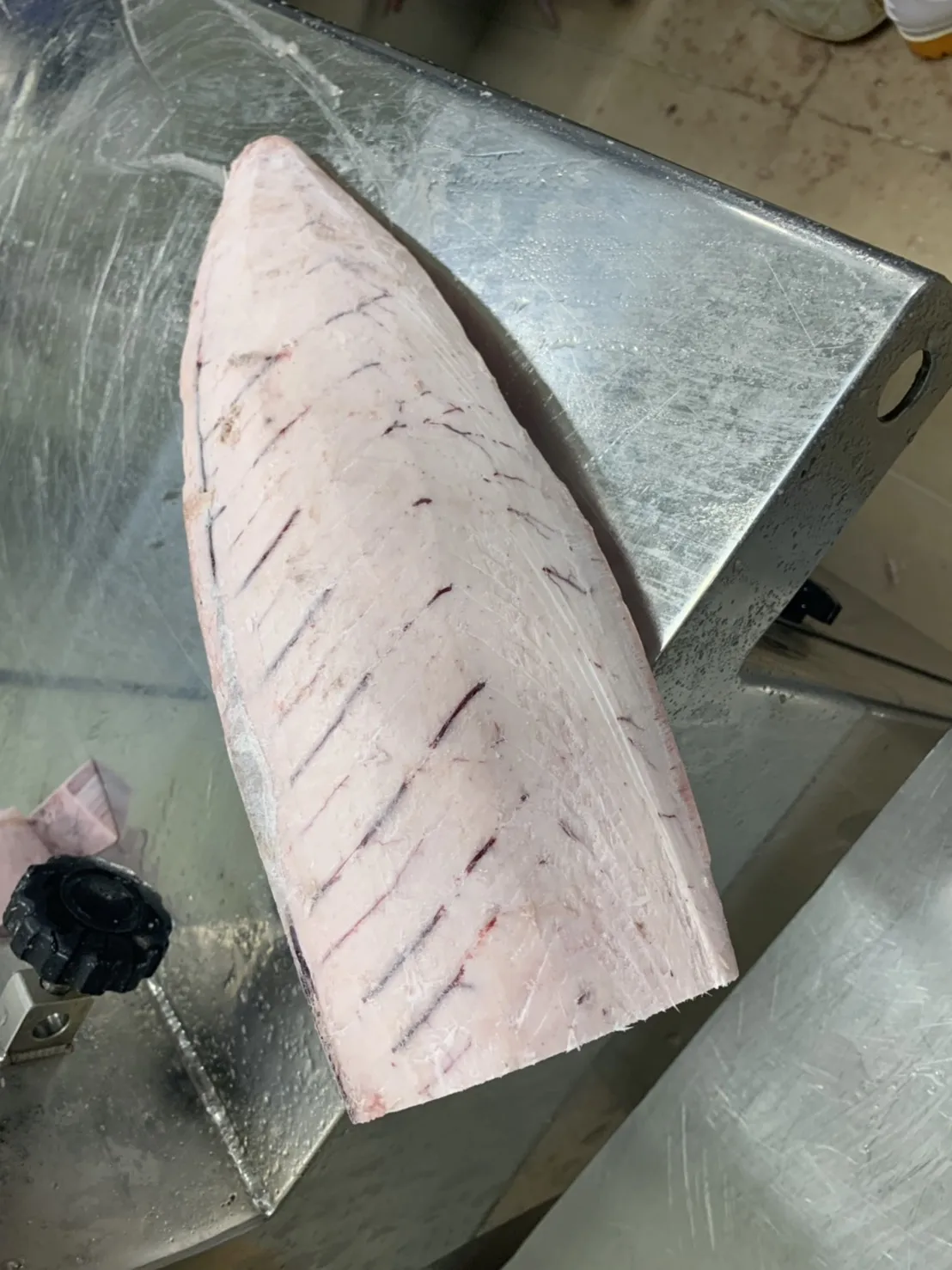 Японское качество морская рыба замороженные жирные рыбы альбакор тунец цена