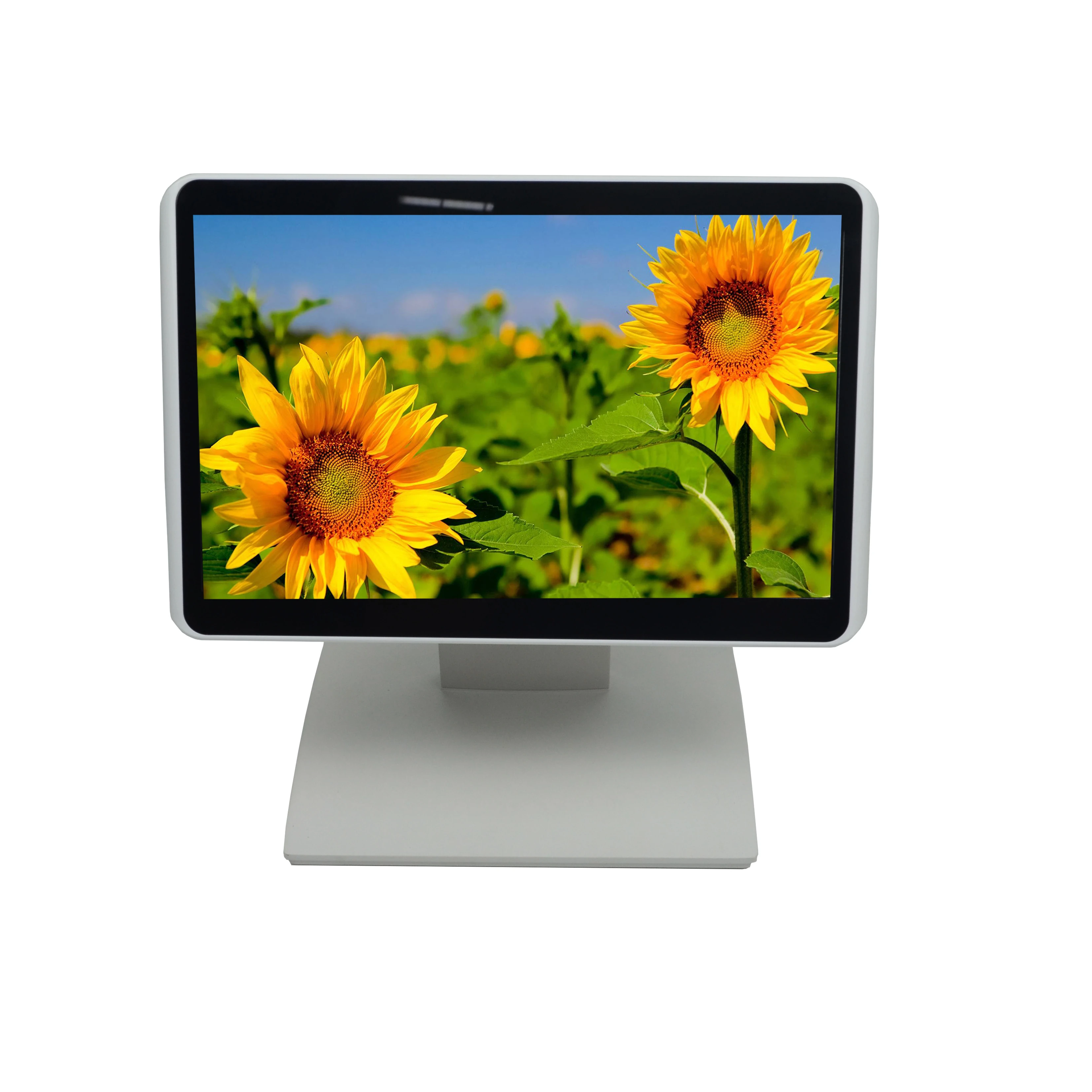 Europe popular design 10.1 inch LCD Display monitor  POS system 1280*800 resolution OEM/ODM