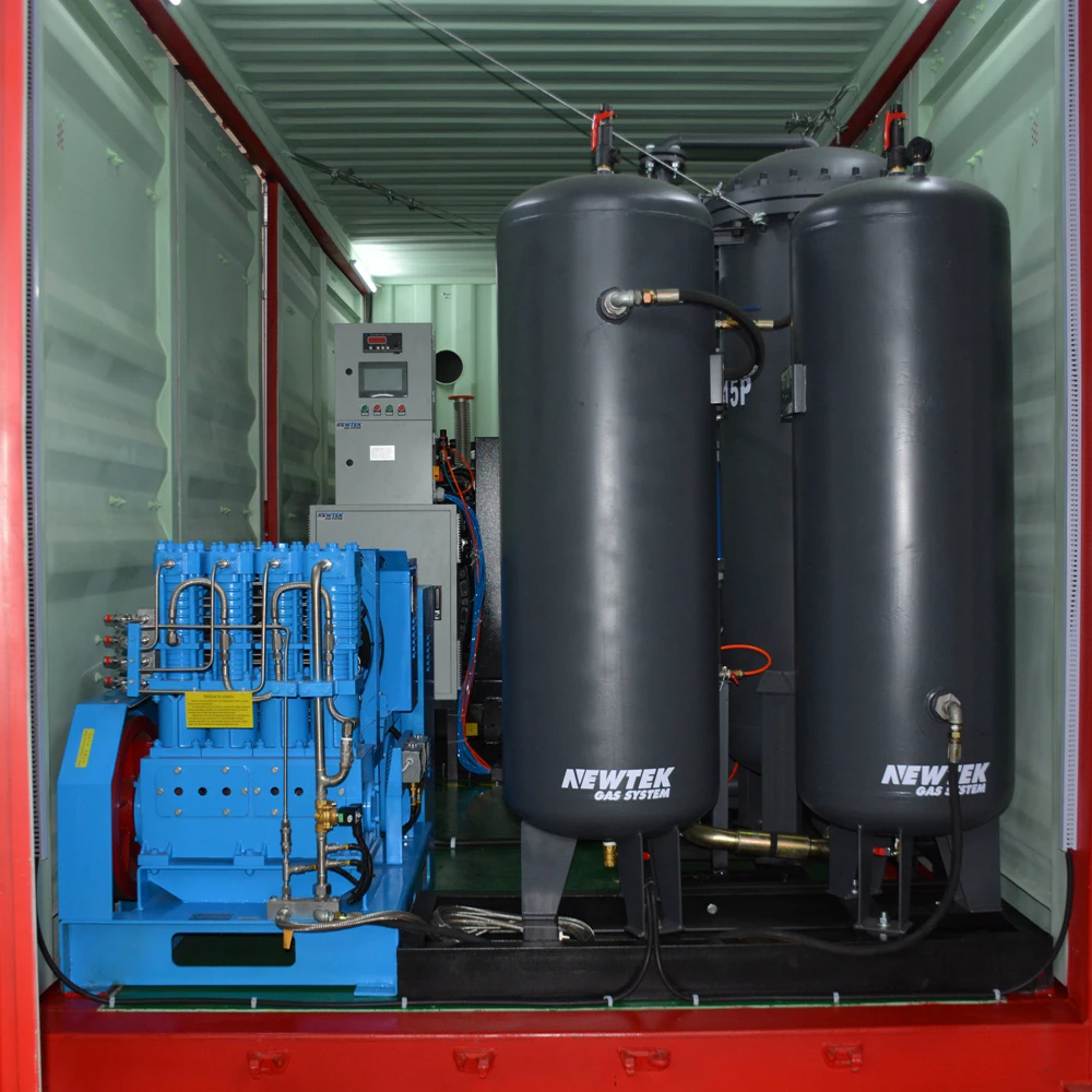 NEWTEK 10Nm3/hr 99% Container type oxygen generator industrial oxygen generator