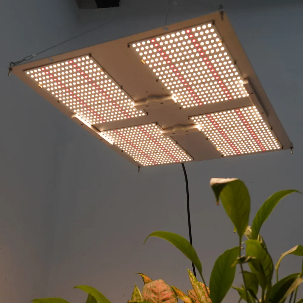 Maaadro Hot Selling 5099 Garden Greenhouses Led Grow Light Uv Ir For