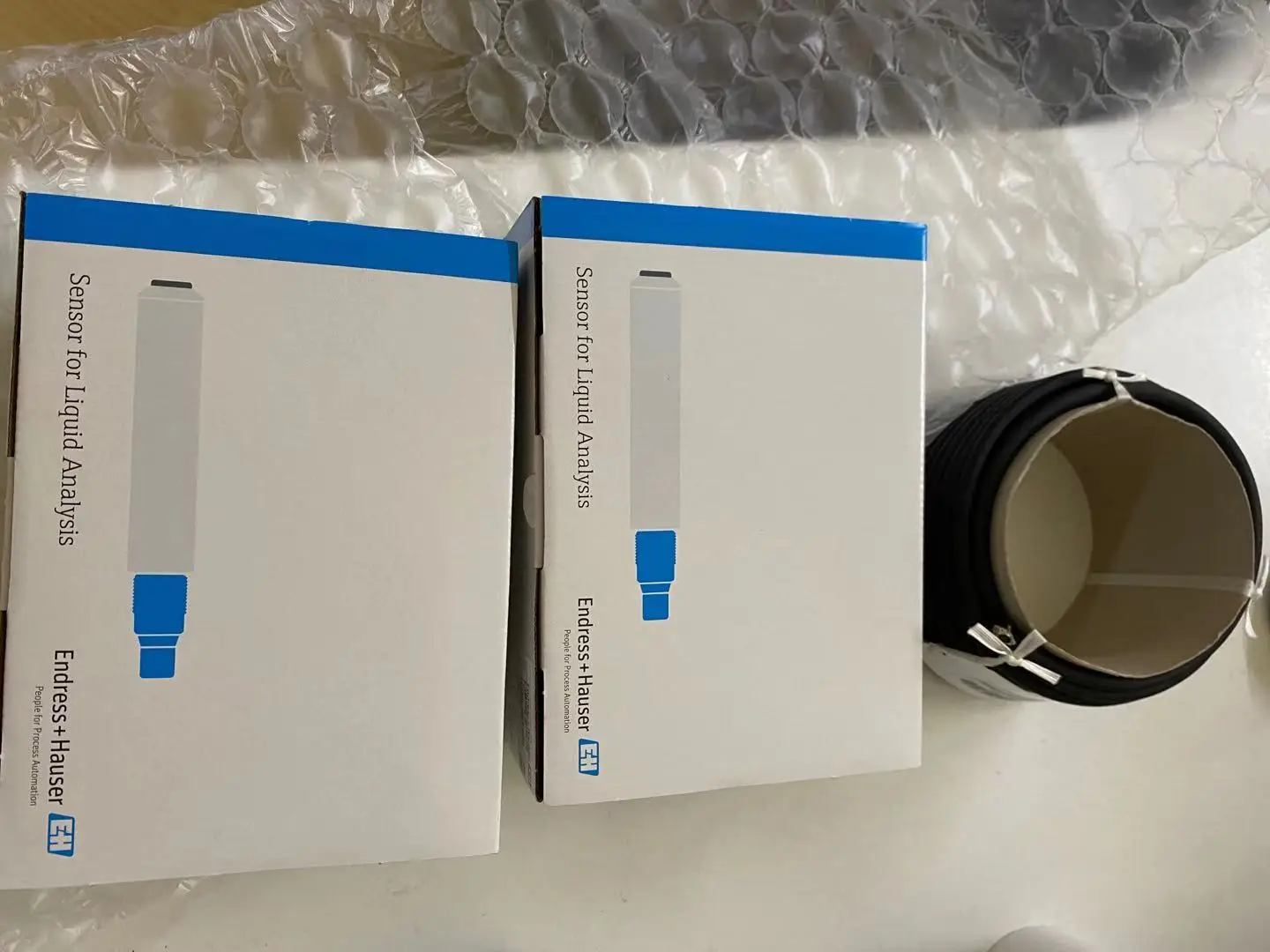 Endress Hauser CLS21-C1E4A Analog Conductivity Sensor Condumax CLS21