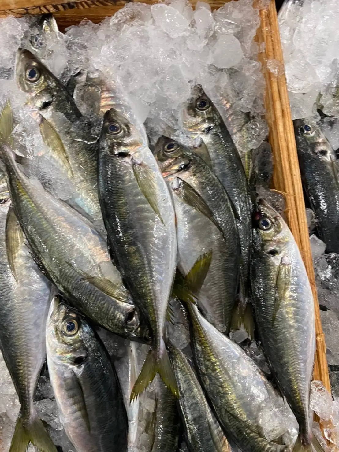 Японские морепродукты цена свежей рыбы замороженный домкрат скумбрия для