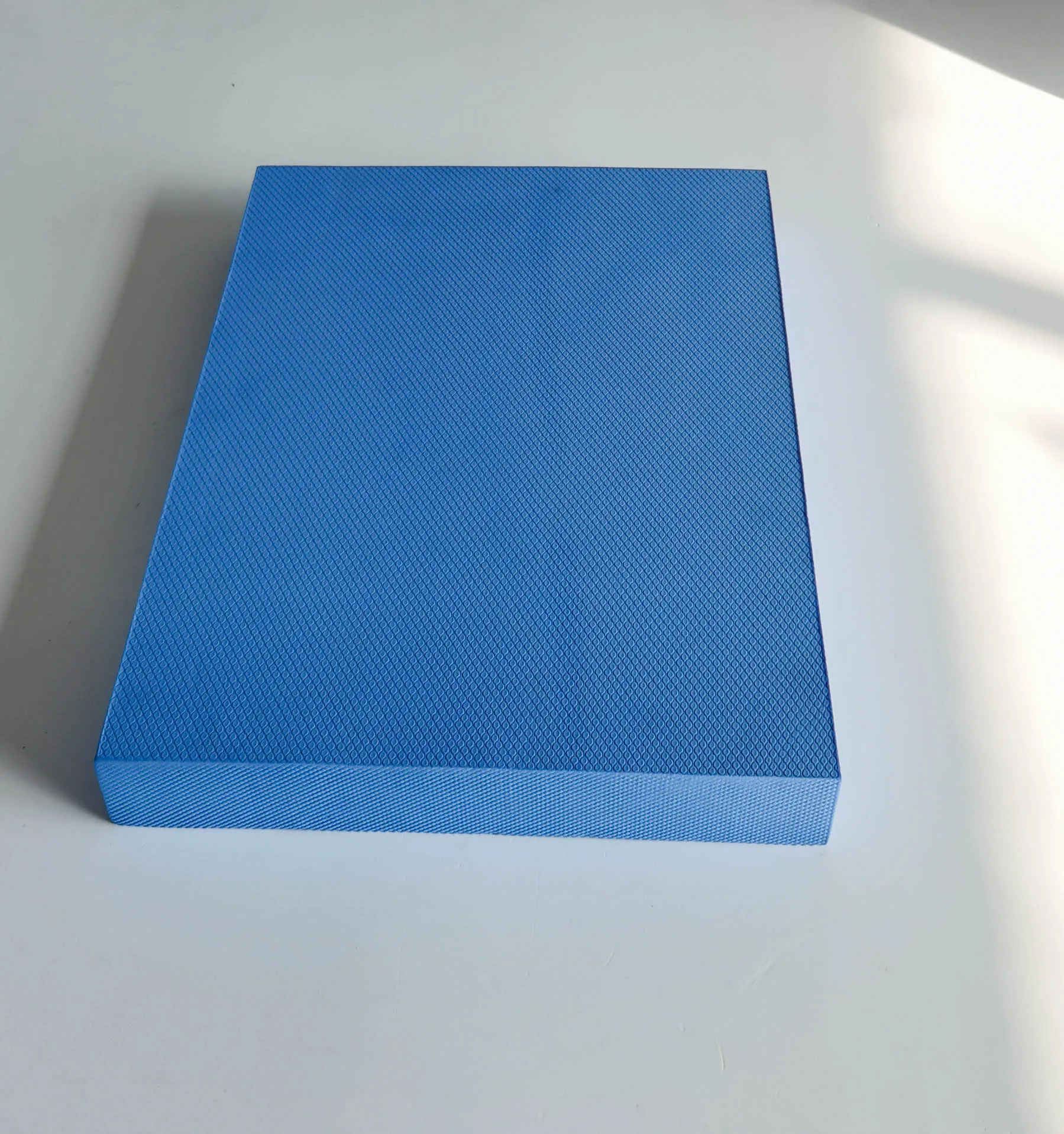 Soft Foam Hardness Gym Fitness Non Slip Large TPE Yoga Therapy Training Cushion large Balance Pad