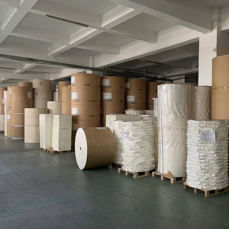 Pe Coated Paper Board In Roll Material Raw For Customized Paper Cup Sheet