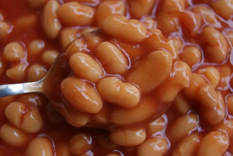 DOMEE Low Price Tasty Canned Baked Beans in Tomato Sauce High Quality Canned Food