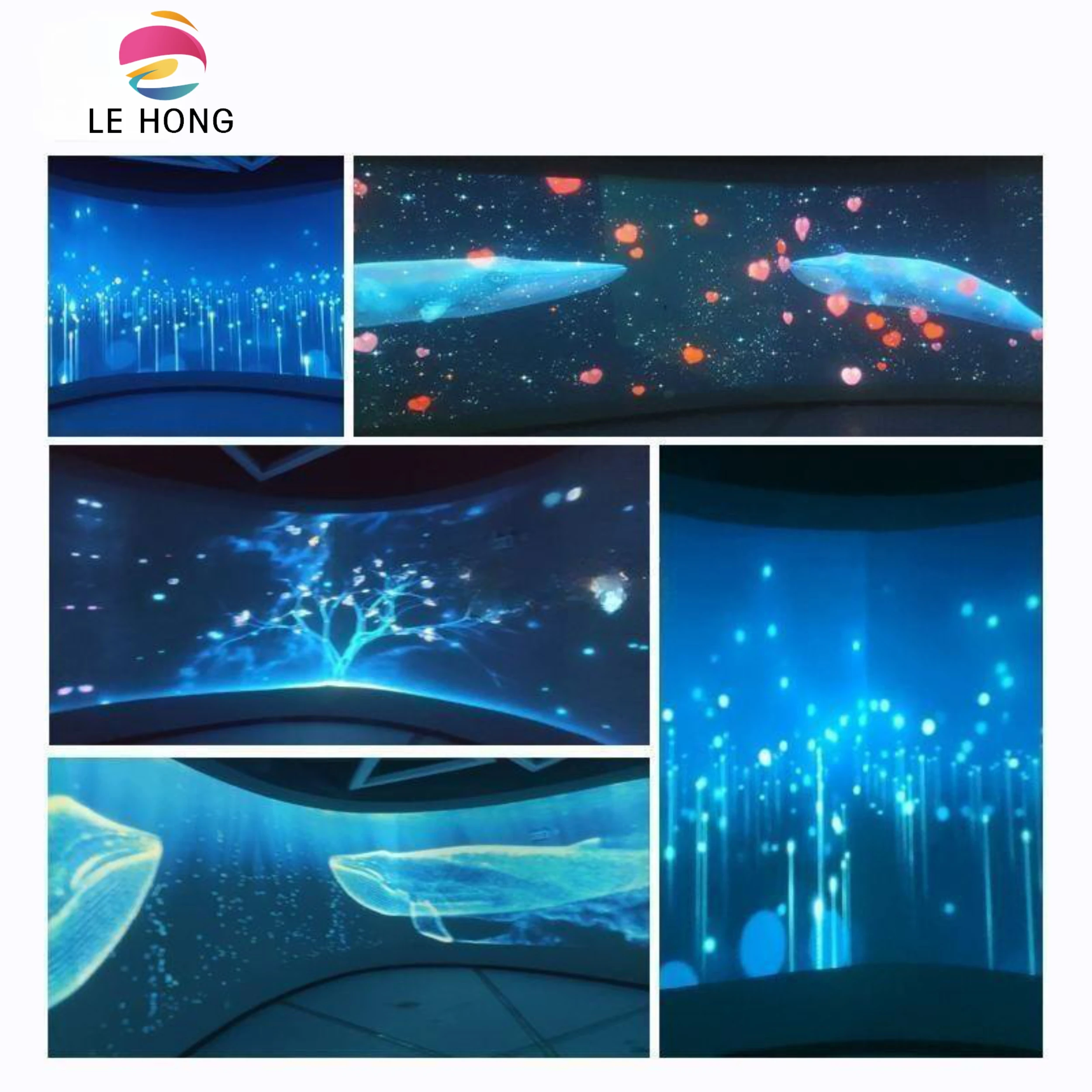 360 Mapping Wall Projection Floor Projection Interactive Virtual Reality Museum Show Interactive Projection