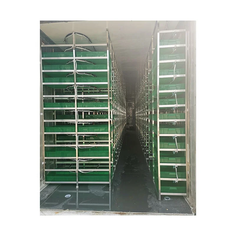 100kg Per Day Automatic Barley Fodder Sprouting Machine | Hydroponic Seed Germination Systems