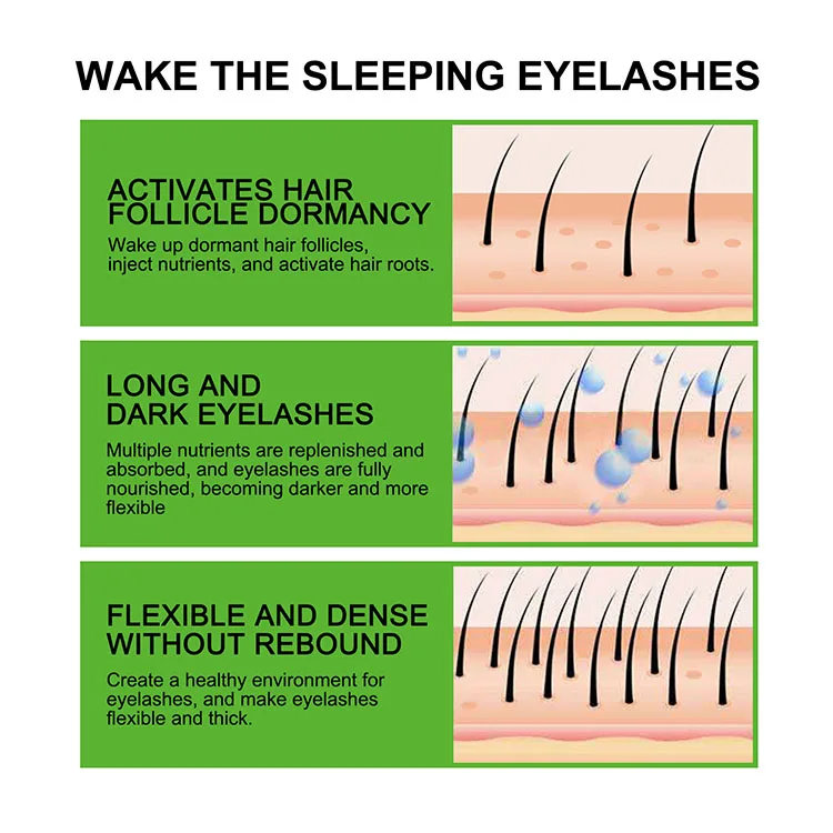 Natural Eyelash Growth Serum Thick And Long Eyelash Lengthening Treatments Enhanced Eyelashes Growth Serum With Brush