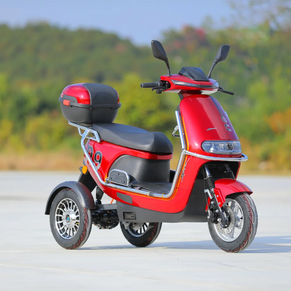 Wholesale 800W 3 Wheel Electric Bicycle Family Use Electric Moped 3 Wheels Electric Motorcycle For Adults