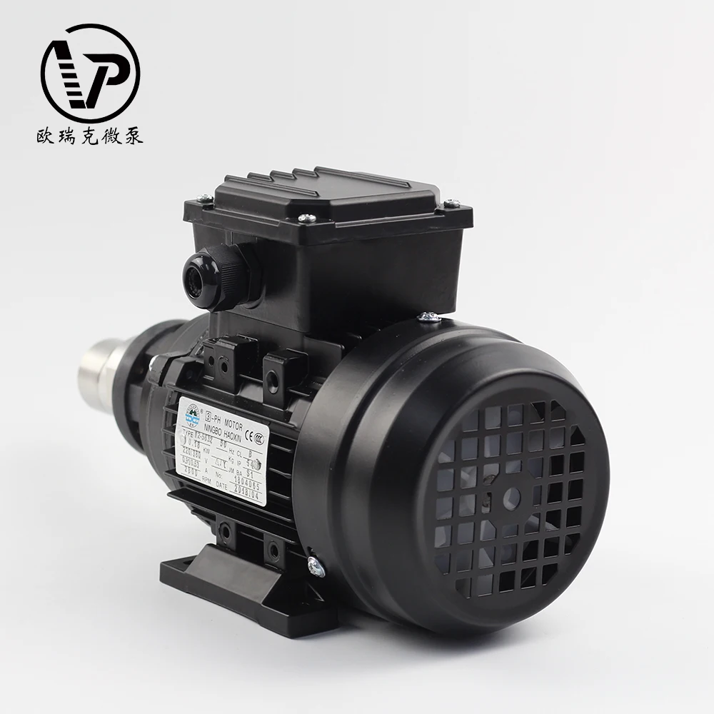 Manufacturer Cheap Price Customized Safe and Stable Food Grade Magnetic Drive AC Gear High Pressure Pump