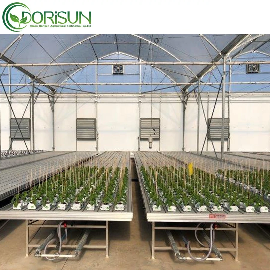 Food Grade Abs Trays UV Protective Hydroponics Racks Rolling Bench Of Indoor Agricultural Growth